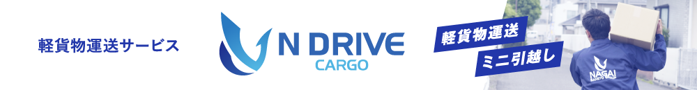NDRIVE CARGO